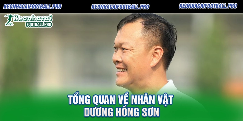 Tổng Quan Về Nhân Vật Dương Hồng Sơn