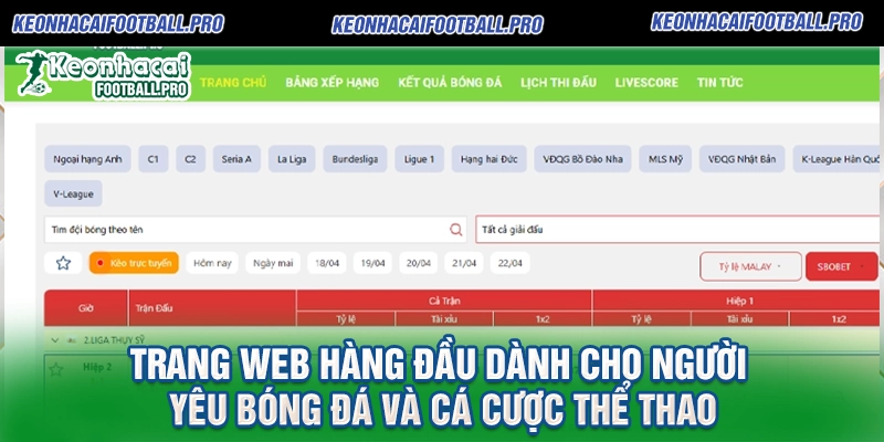 Trang web hàng đầu dành cho người yêu bóng đá và cá cược thể thao
