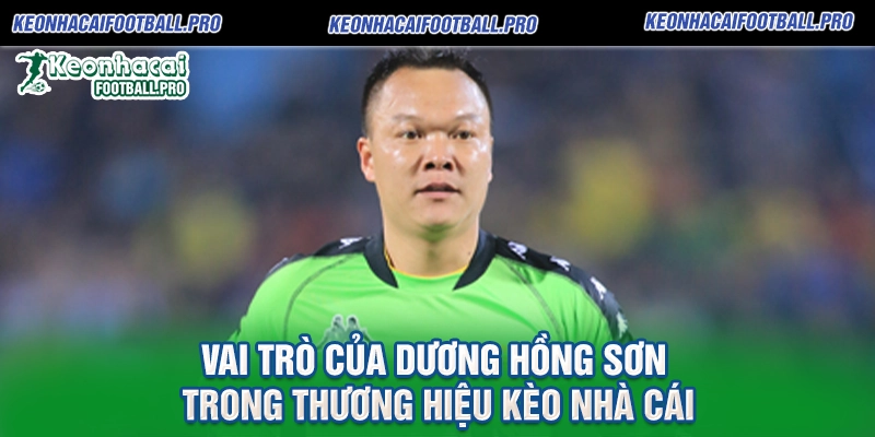 Vai Trò của Dương Hồng Sơn trong Thương Hiệu Kèo Nhà Cái