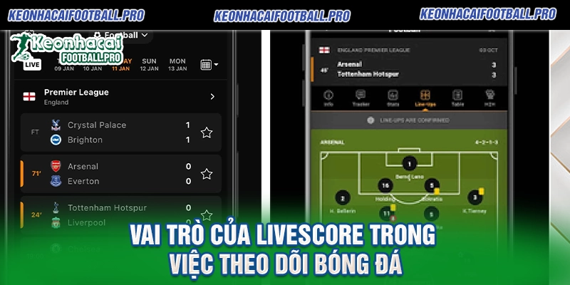 Vai Trò của Livescore Trong Việc Theo Dõi Bóng Đá